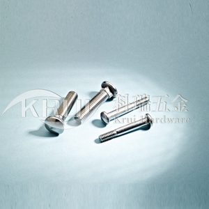KR014-GB12 DIN603 GB67 stainless steel side neck screw stainless steel slot bolt