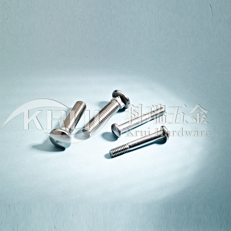 KR014-GB12 DIN603 GB67 stainless steel side neck screw stainless steel slot bolt